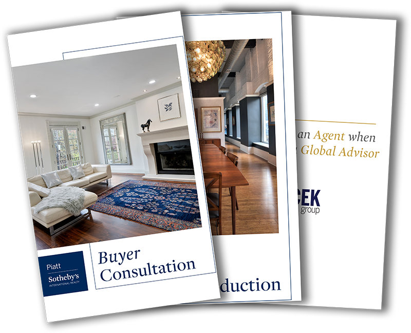 Buyer Consultation Guide 2024